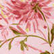 Chrysanthème