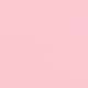 Carnation