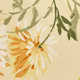 Honeyglow